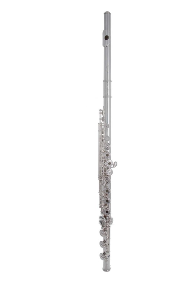 Achat Flûte Traversière HAYNES 700 Amadeus - Rue des Vents, Magasin  Spécialisé en Instruments à Vent