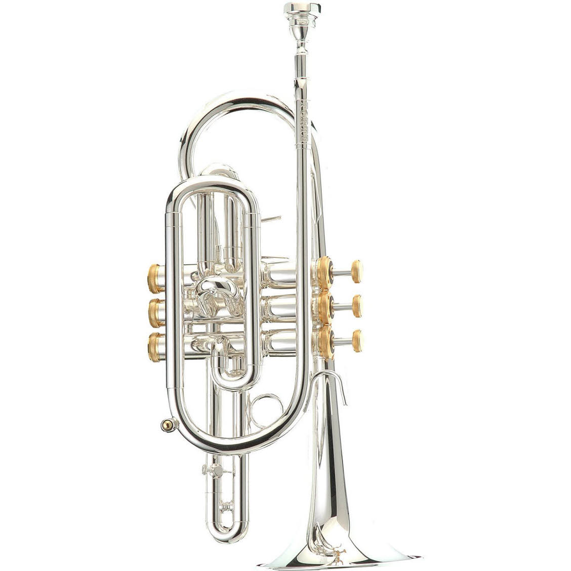 STOMVI Forte Rue des Vents, Magasin de Musique en Ligne