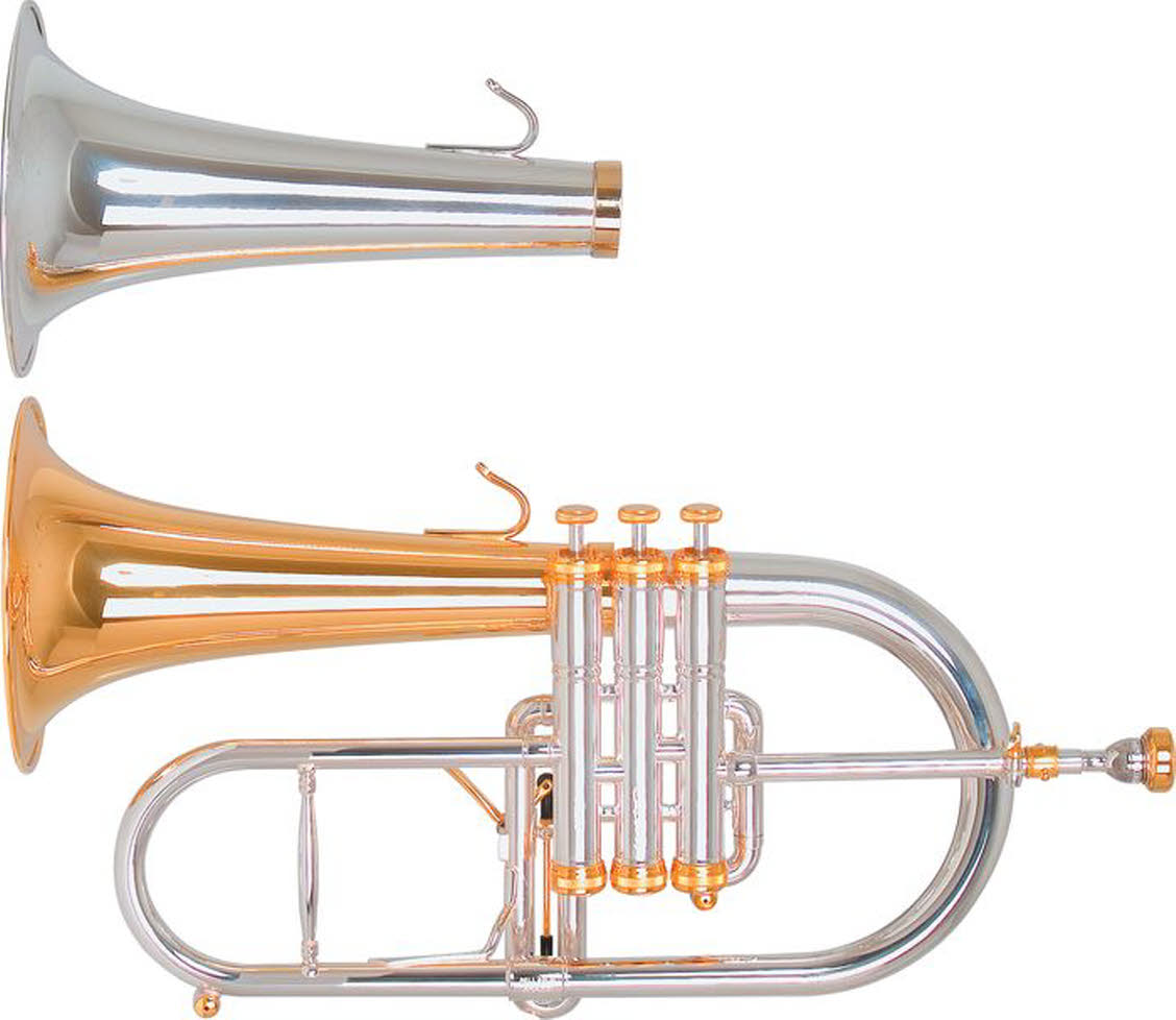 Bugle STOMVI Master Rue des Vents, Magasin de Musique