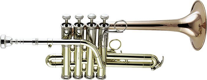 Rue des Vents Trompette piccolo GETZEN Custom 3916 Magasin de musique